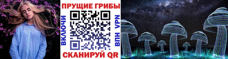Галлюциногенные грибы прущие грибы  Тотьма 